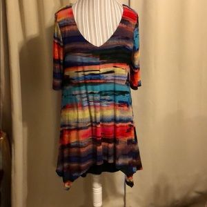 Multicolored Tunic Top
